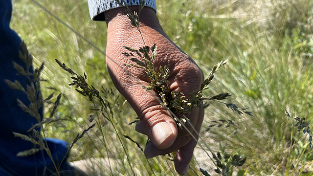 Check for America's Heartland airing on a public television station near you!